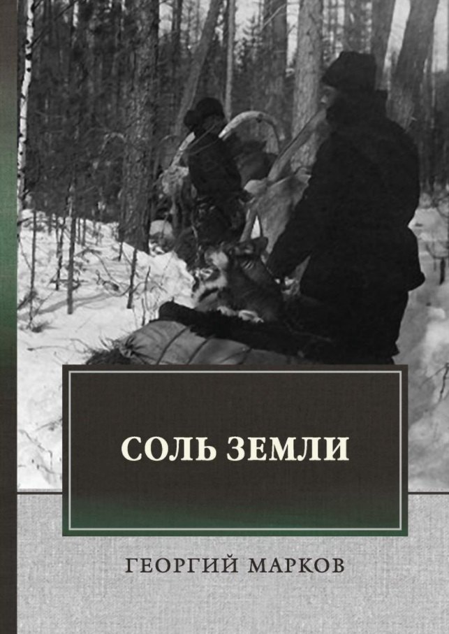 

Соль земли: исторический роман