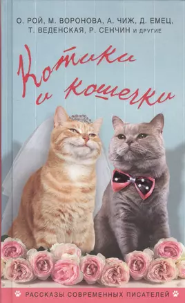 Котики и кошечки — 2524006 — 1