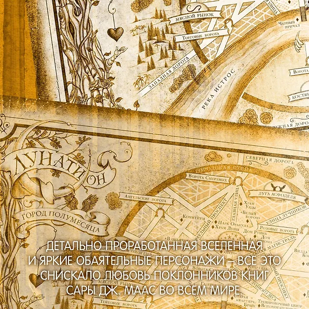 Книга Город Полумесяца. Дом Пламени и Тени (Сара Маас) — 10