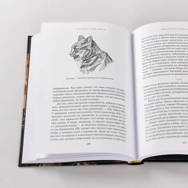 Книга Человек среди котов: История близкого соседства (Наталья Резник) — 10