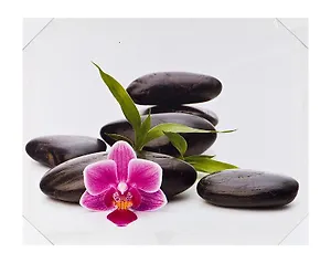 Картина Орхидея и черные камни (40х50) (740-006)