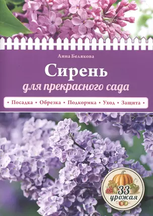 Сирень для прекрасного сада — 2502170 — 1