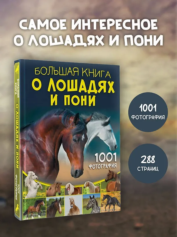 Книга Большая книга о лошадях и пони. 1001 фотография (Анна Спектор) — 5
