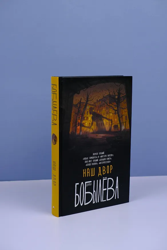 Книга Наш двор (Дарья Бобылева) — 5
