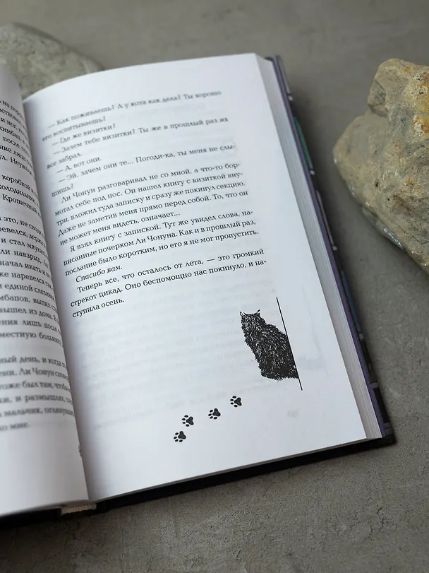 Книга Пока ты видишь меня (Пак Хён Джу) — 8