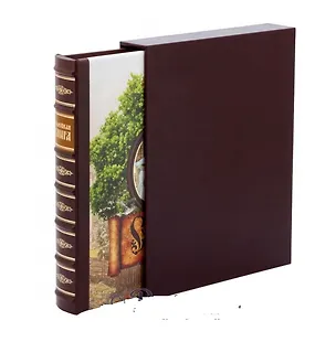 Книга Семейная книга (футляр). Подарочное издание ()