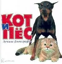 Кот и пес, Лучшие фотографии