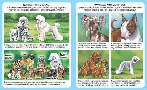 Книга Домашние питомцы (Патриция Рени) — 8