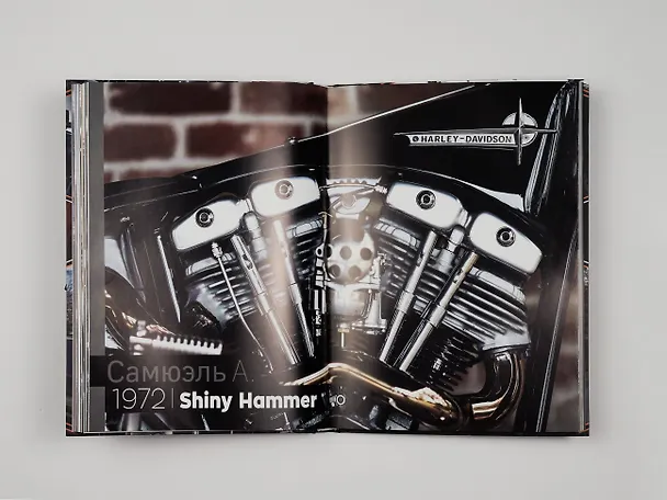 Книга Harley-Davidson. Легенда жива (Михаэль Левивье) — 14