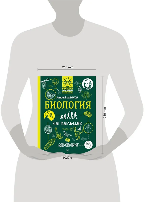 Книга Биология на пальцах: в иллюстрациях (Андрей Шляхов) — 4
