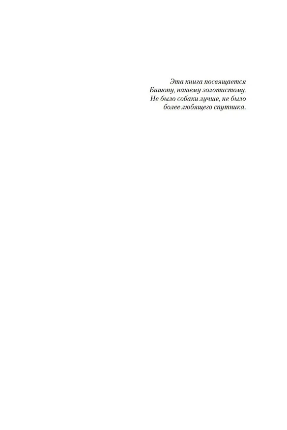 Книга Очень храбрый человек (Луиза Пенни) — 7