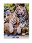Набор для творчества, Рыжий Кот, Алмазная мозаика Тигрица и тигрята 30*40см 30цв, на подрамнике (ST-396) — 2694183 — 2