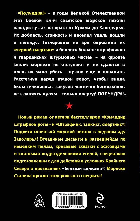 Книга Морпехи против "белых волков" Гитлера (Владимир Першанин) — 2