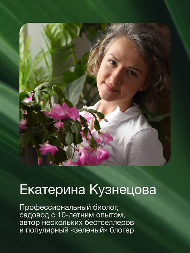 Книга Растущие в темноте. Комнатные растения для укромных уголков вашего дома (Екатерина Кузнецова) — 12