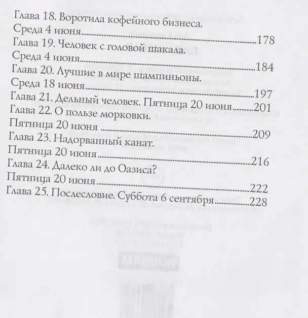 Книга Бар Амбар (Аня Саврасова) — 3