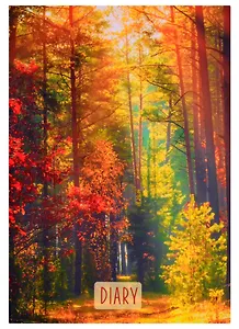 Ежедневник недат. А5 128л "Осенний этюд" интегр.переплет, покрытие Soft touch, офсет