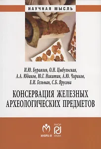 Консервация железных археологических предметов. Монография