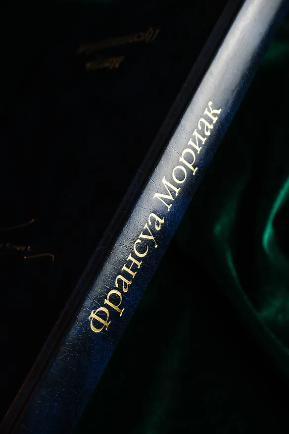 Книга Матерь. Пустыня любви (Франсуа Мориак) — 12