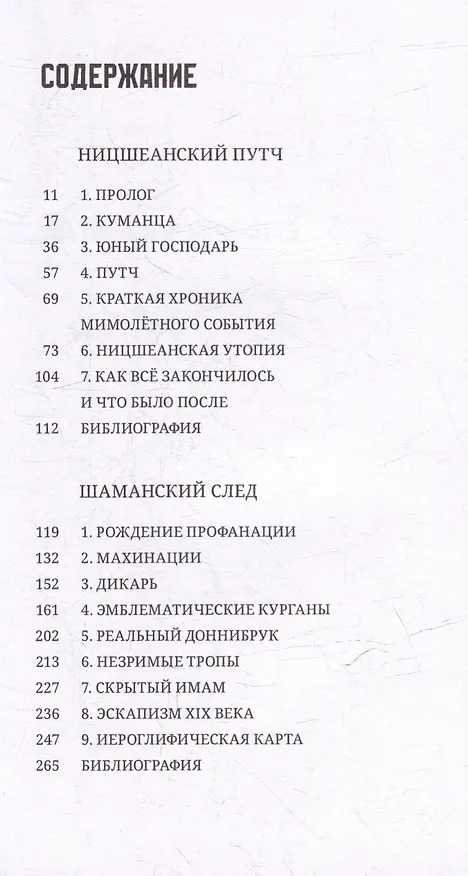 Книга Ницшеанский путч. Шаманский след (Хаким Бей) — 3