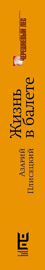 Книга Жизнь в балете. Семейные хроники Плисецких и Мессереров (Азарий Плисецкий) — 4