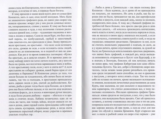 Книга Всяческие истории, или Черт знает что: рассказы (Иеримия Готхельф) — 4