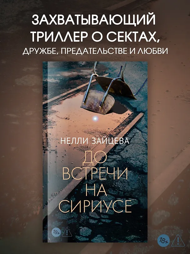 Книга До встречи на Сириусе (Нелли Зайцева) — 5