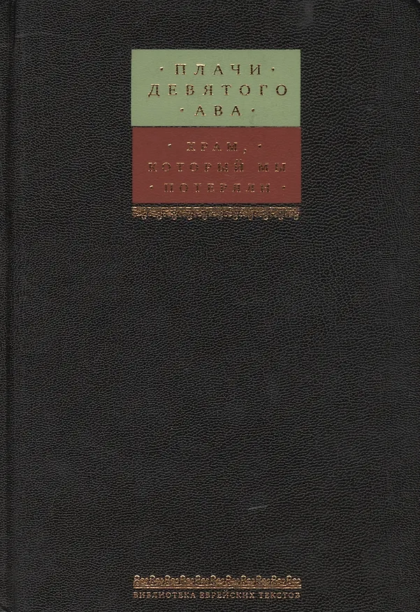 Книга Плачи Девятого Ава. Храм, который мы потеряли (Борух Горин) — 1