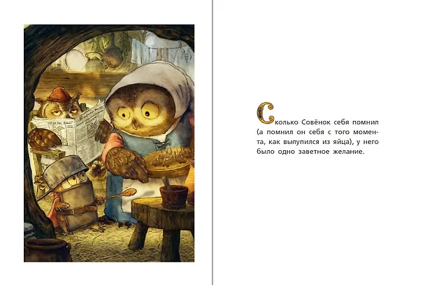 Книга Самый храбрый совенок (Кристофер Дениз) — 4