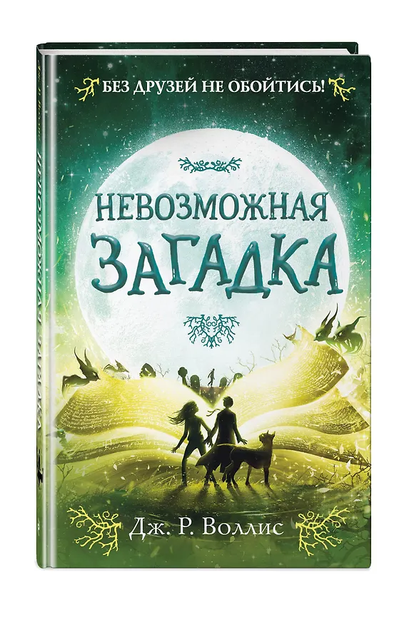 Книга Невозможная загадка (Дж. Воллис) — 4