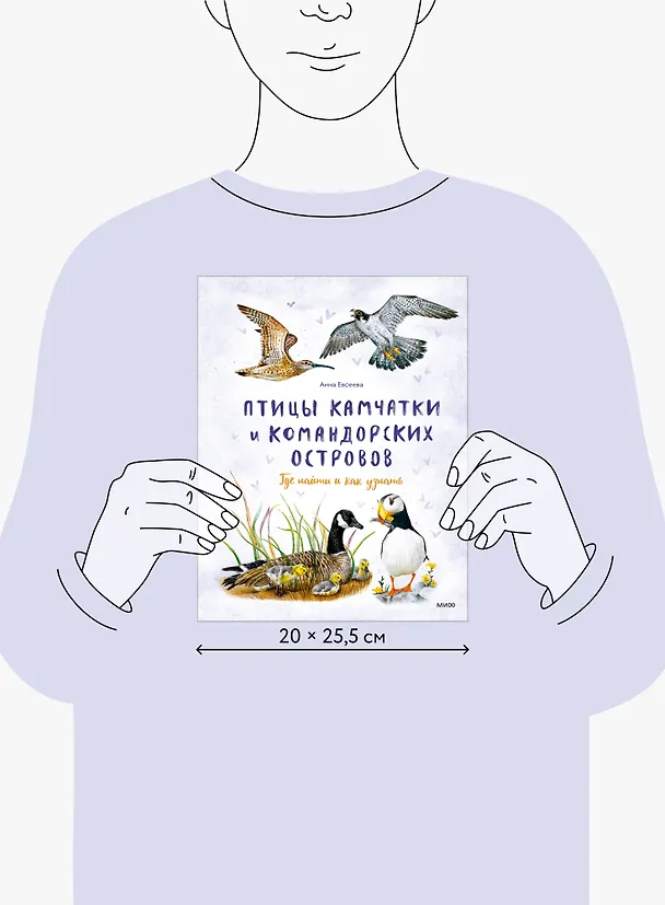 Книга Птицы Камчатки и Командорских островов. Где найти и как узнать (Анна Евсеева) — 9