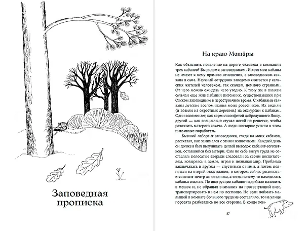 Книга Гнездо кабана: Истории из заповедника (Надежда Панкова) — 3
