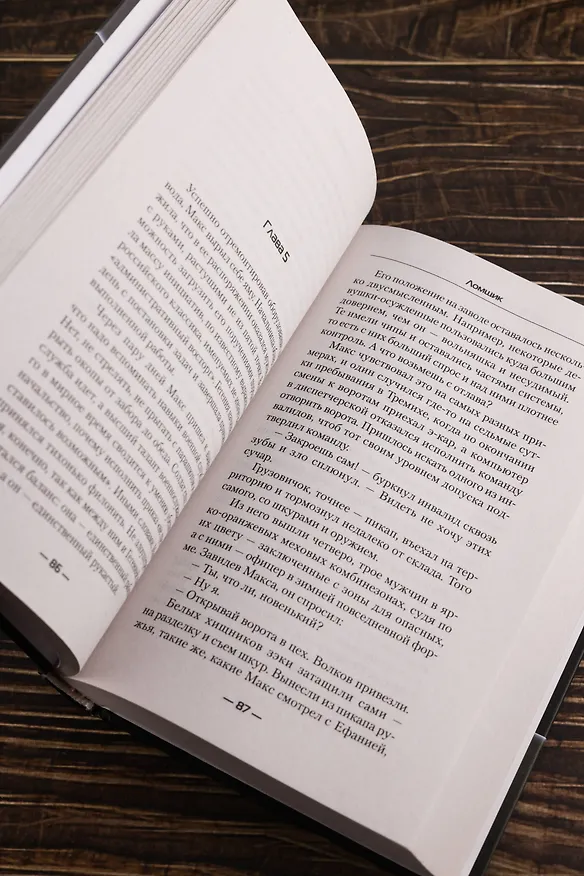 Книга Ломщик (Анатолий Дроздов, Анатолий Матвиенко) — 11
