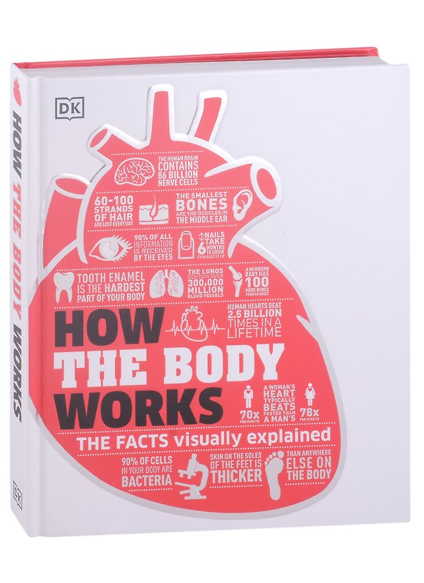 ΠΠ½ΠΈΠ³Π° How the Body Works () β 1