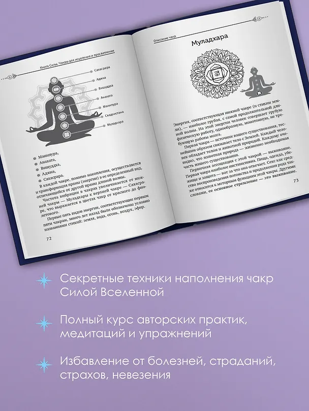 Книга Чакры: сила Вселенной. Полный курс практик от мастера Дзен (Аму Мом) — 7