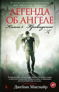 Легенда об ангеле. Книга 1. Провидение