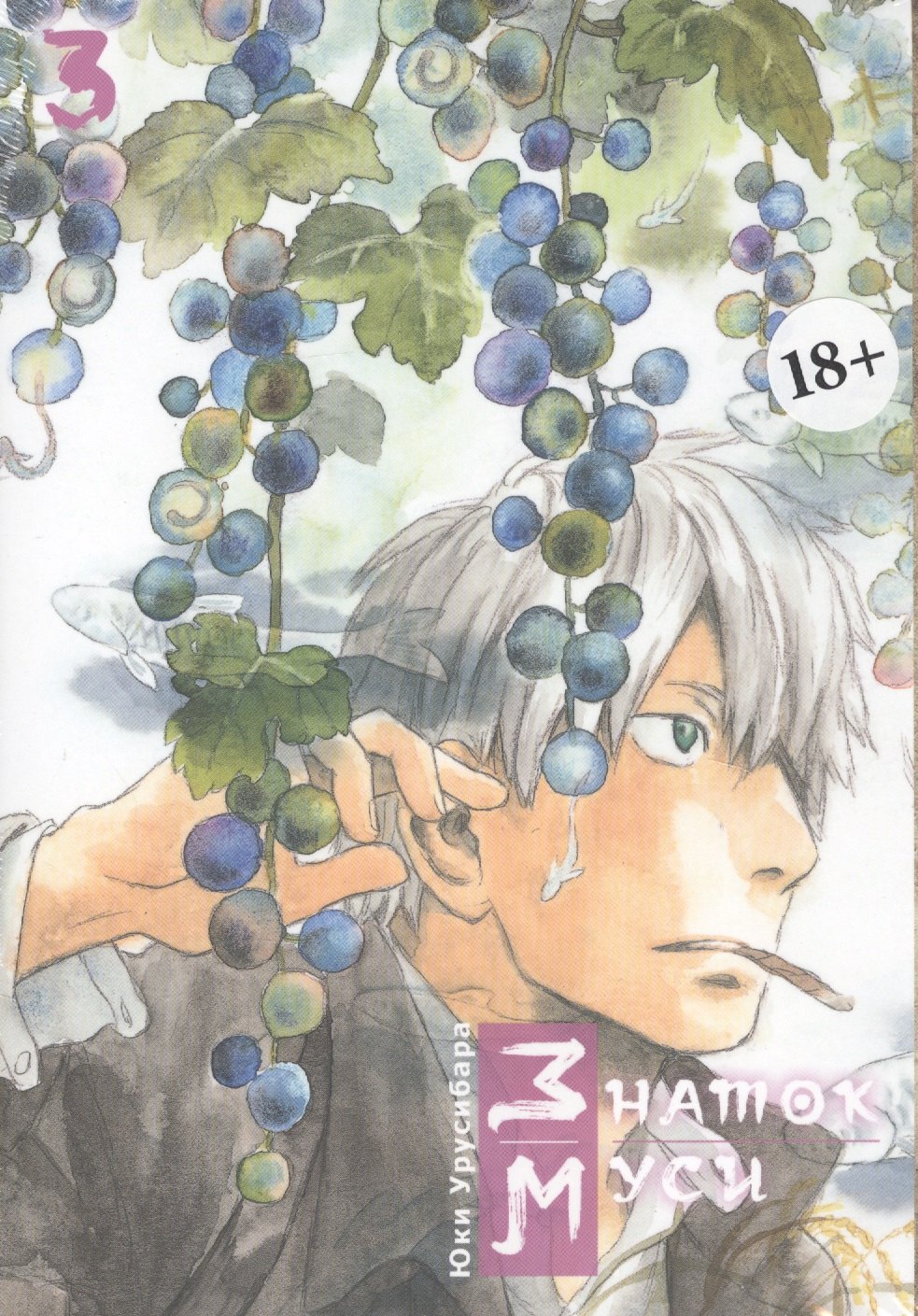 

Мастер Муси. Том 3 (Mushishi / Знаток Муси). Манга