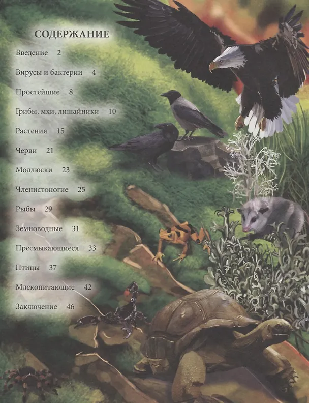 Книга Живая природа. Энциклопедия (Михаил Савостин) — 2