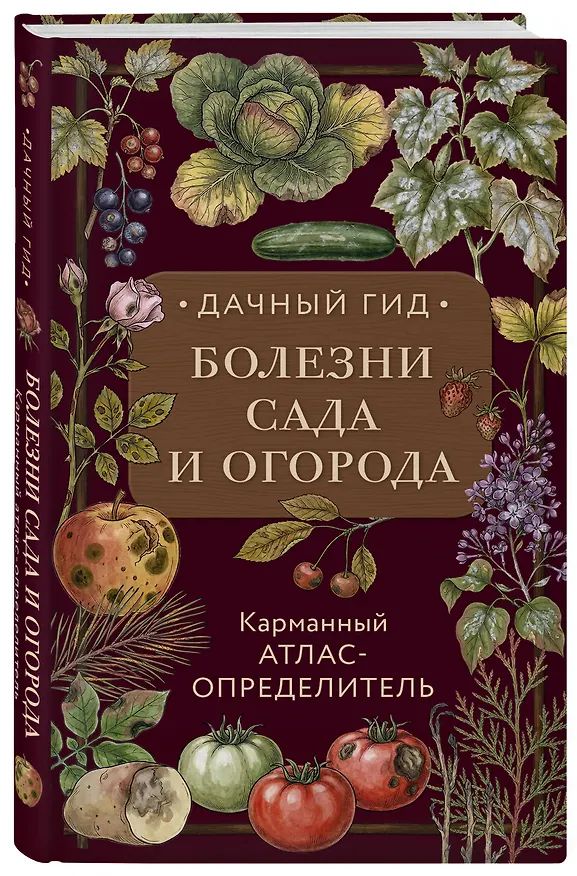 Книга Болезни сада и огорода. Карманный атлас-определитель () — 4