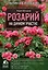 Розарий на дачном участке — 2504600 — 1