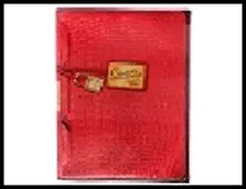 Папка для документов 10 холдеров "Стильная" 31*24см пластик 491637