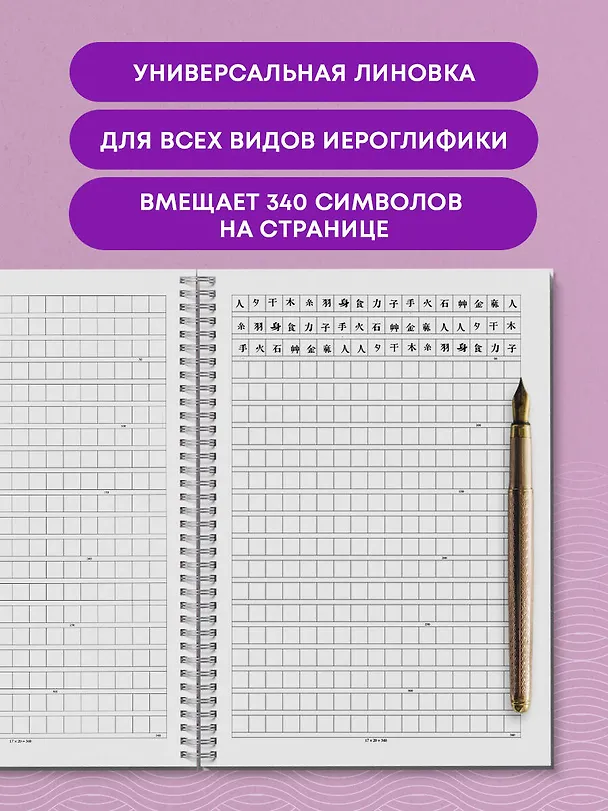 Книга Тетрадь для иероглифов на пружине (Девушка и книга) () — 6