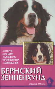 Бернский зенненхунд. История. Стандарты. Разведение. Профилактика заболеваний