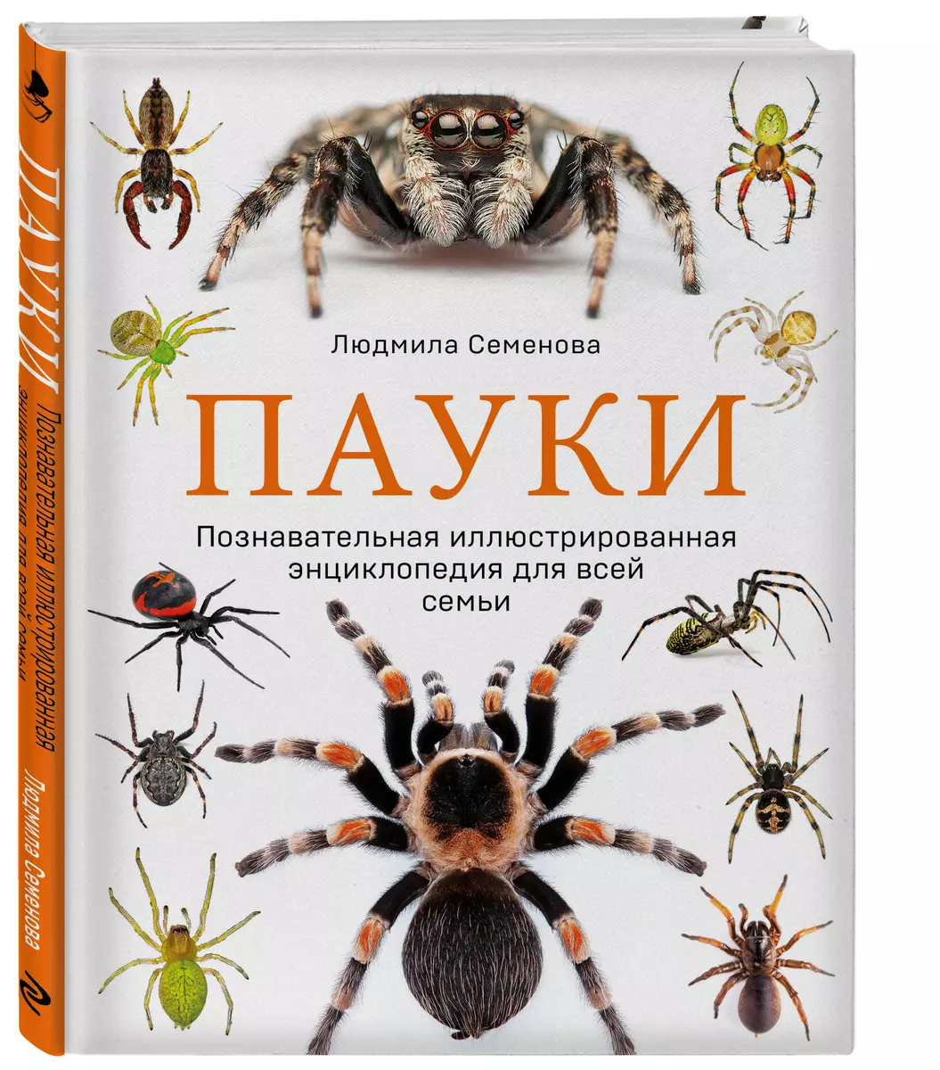 Пауки: познавательная иллюстрированная энциклопедия для всей семьи (Людмила  Семенова) - купить книгу с доставкой в интернет-магазине «Читай-город».  ISBN: 978-5-699-76228-6