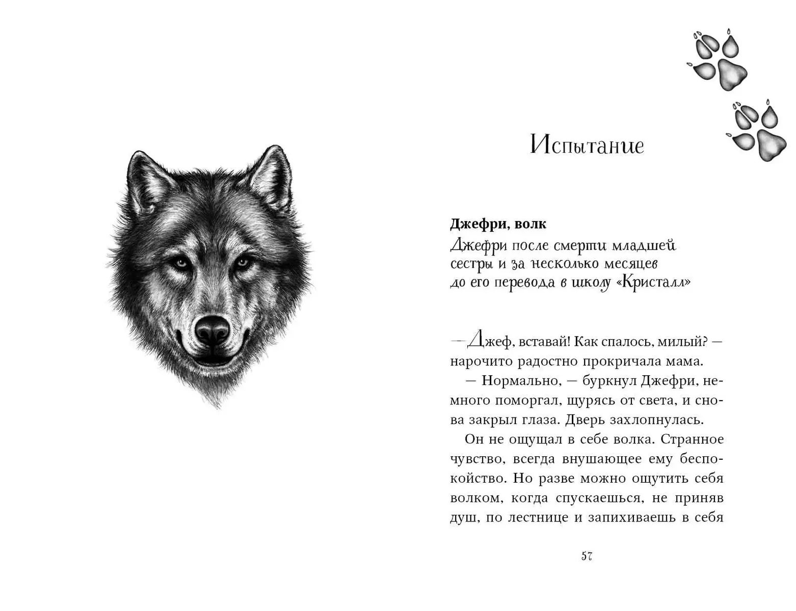 Двенадцать секретов (#8) (Катя Брандис) - купить книгу с доставкой в  интернет-магазине «Читай-город». ISBN: 978-5-04-119101-6