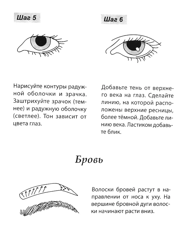Скетчбук А5 Уроки рисования по шагам. Анатомия человека 2905532 — 3
