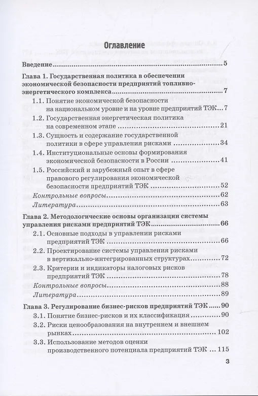 Книга Экономическая безопасность и бизнес-риски предприятий топливно-энергетического комплекса. Учебное пособие (Наталия Лебедева) — 2