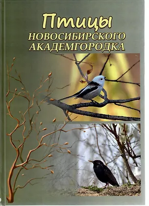 Книга Птицы Новосибирского Академгородка. Фотоальбом ()