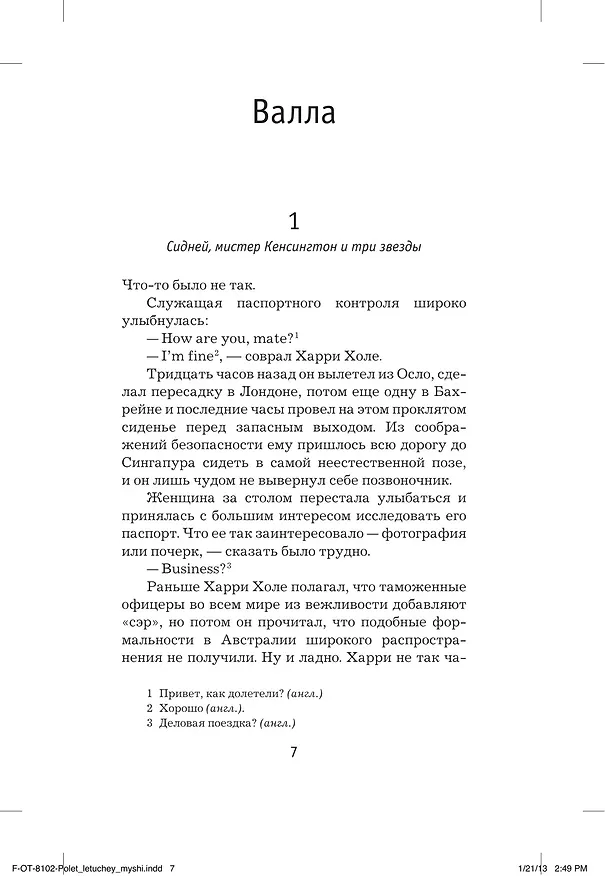 Книга Нетопырь (Ю Несбё) — 11