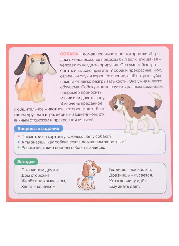 Книга Развивающие карточки для детей. Домашние животные (20 карточек) () — 3