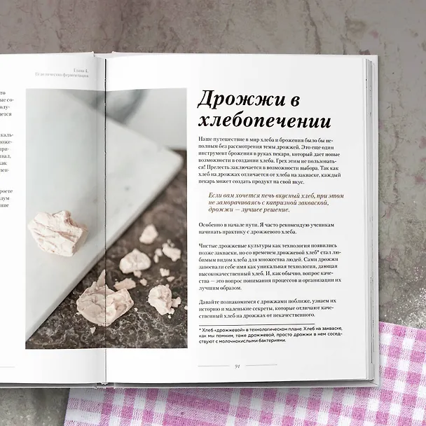 Книга Хлеб в разрезе. Подробный курс по выпечке дрожжевого и заквасочного хлеба с нуля (Ахмед Али-заде) — 10
